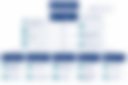 Notre structure organisationnelle